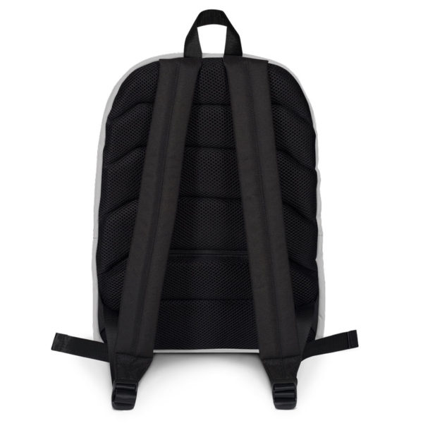 Grey backpack back view