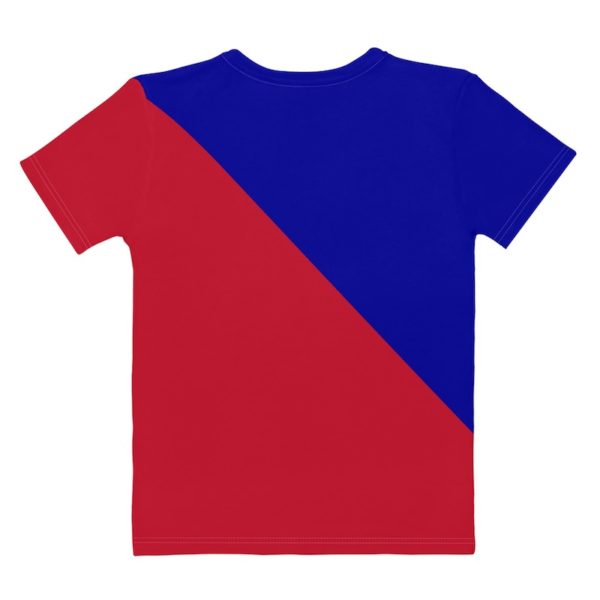 Taiwan Flag Shirt 2