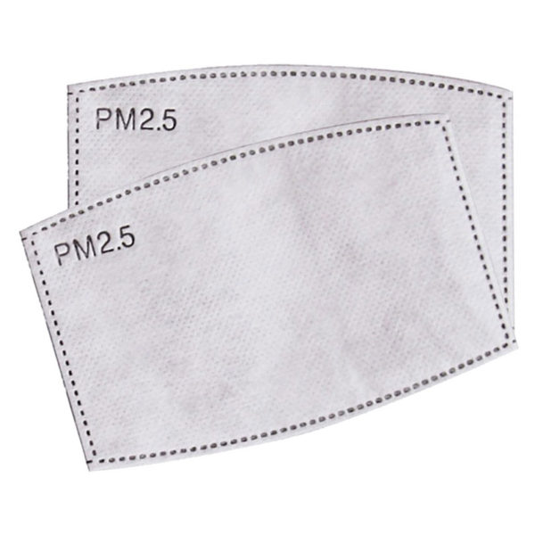 PM 2.5 filters